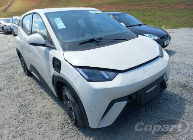 BYD DOLPHIN MINI EV GS5 55 KW 2025